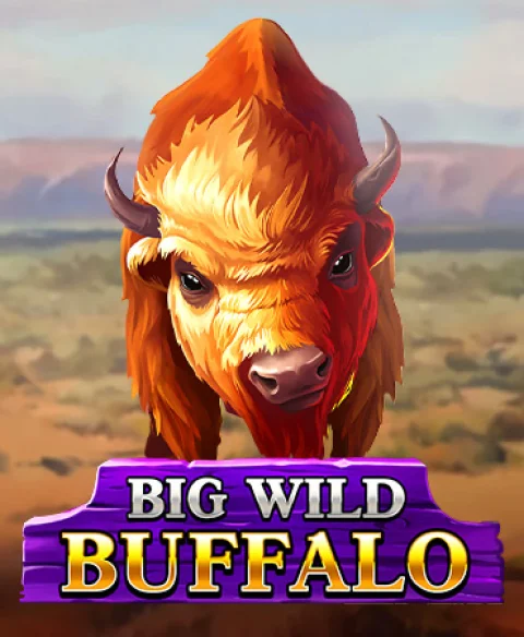 Play Big Wild Buffalo at Queen Play Casino